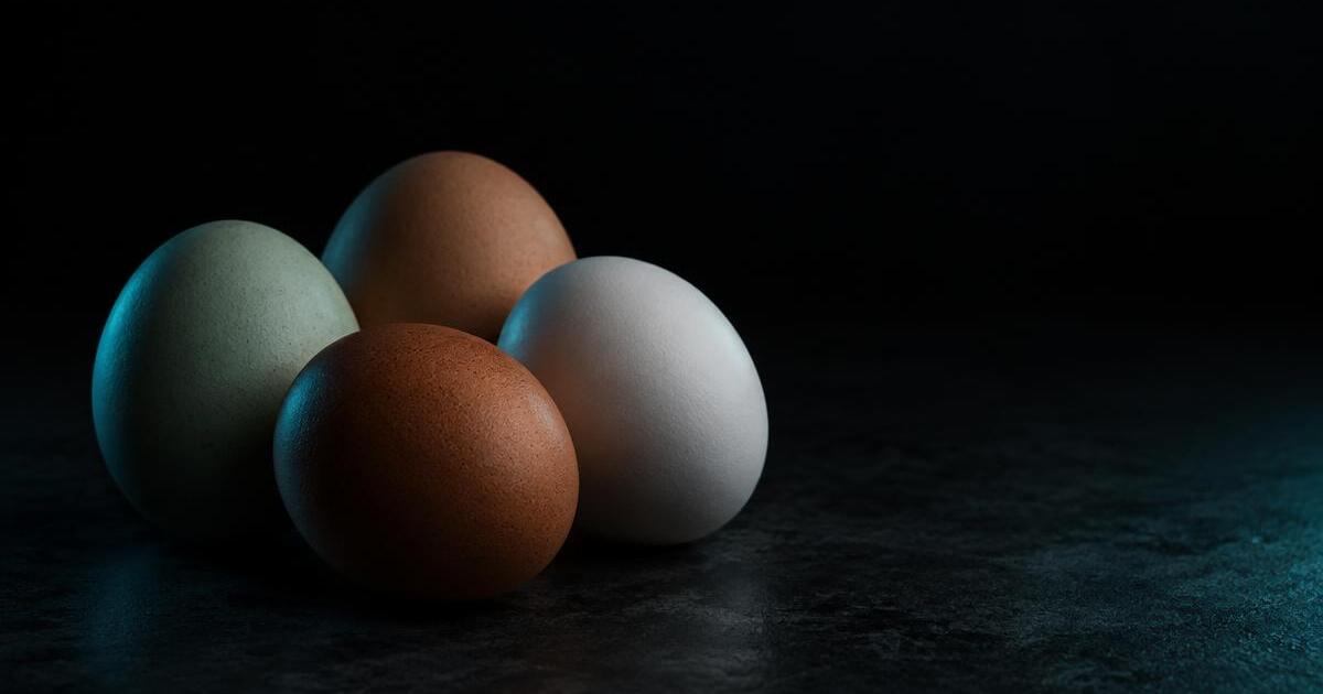 Three chicken eggs with white, brown and pale blue-green shells lit in teal against a dark background