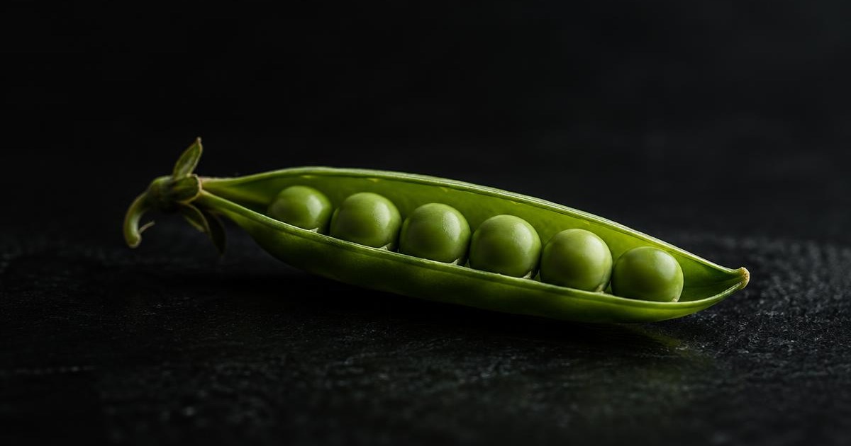 A split green pea pod on a dark surface, rim-lit in grass green
